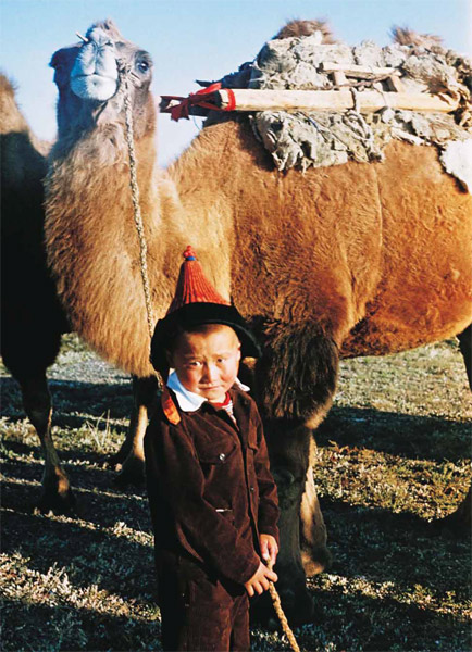 Монголия. Маленький погонщик