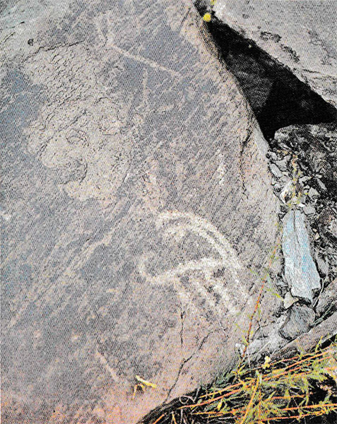 Древние петроглифы на Сапфирной горе